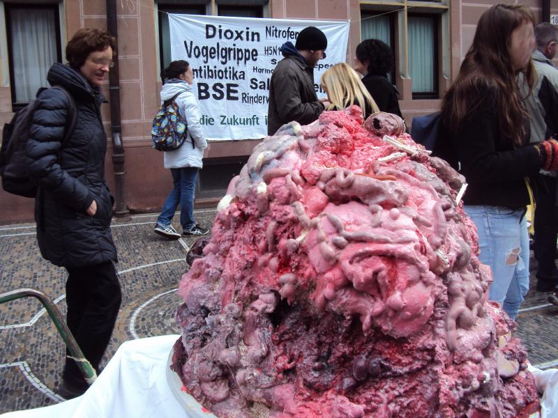 GEGEN TIERAUSBEUTUNG